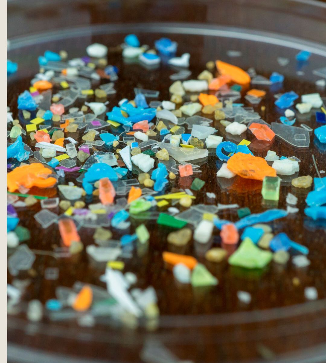Mikroplastik