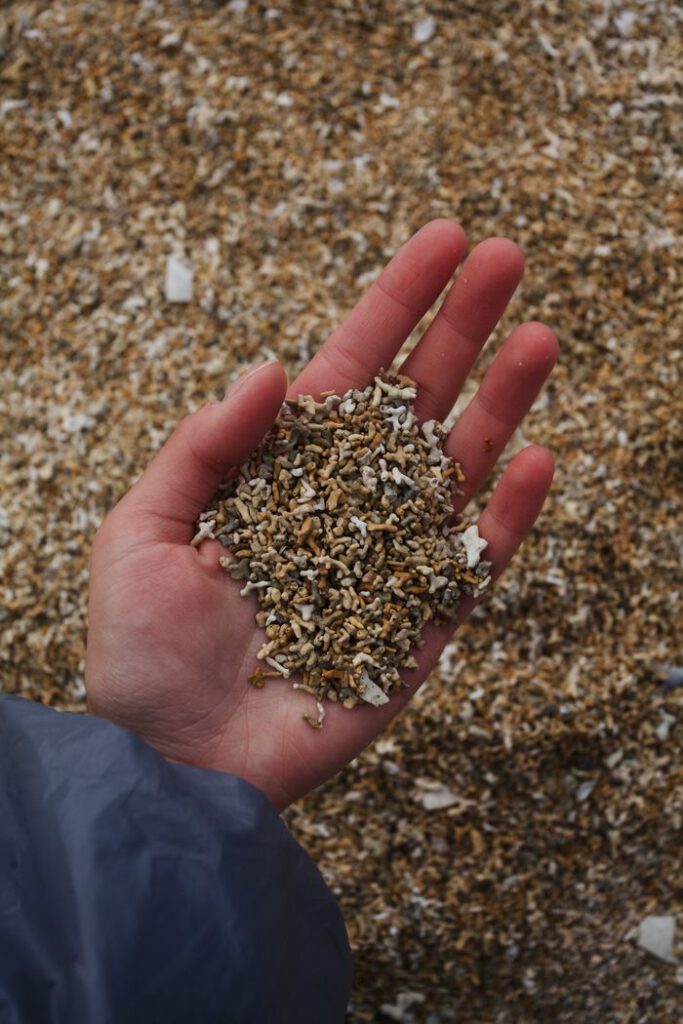 Close-up of a woman's hand holding sand on a beach in Ireland, showcasing texture and nature.
